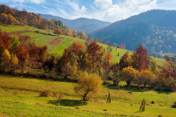 istock countryside autumn scene in mountains 1266105396