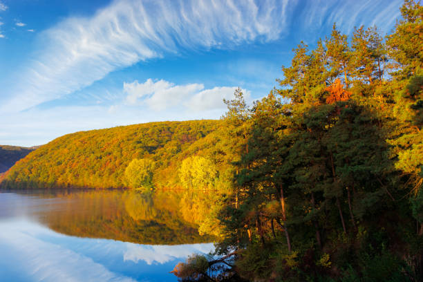 istock mountain lake among the forest 1266109631