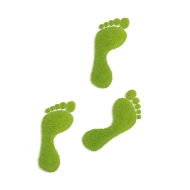 istock Ecological footprint concept illustration. Grass patch footprint walk 1266113006