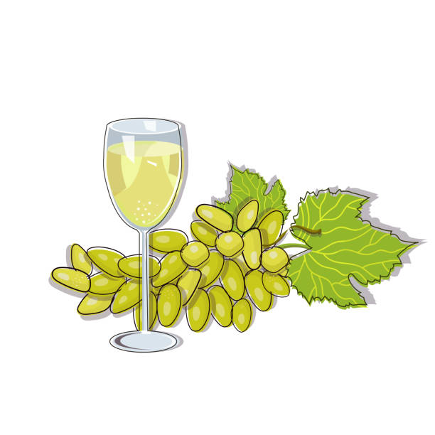 白い背景に分離されたガラスのaf白ワインと緑のブドウ。 - grape white grape green muscat grape点のイラスト素材／クリップアート素材／マンガ素材／アイコン素材