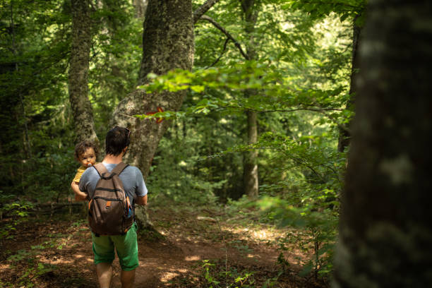 istock Father and son enjoying beautiful day at nature together 1266113784