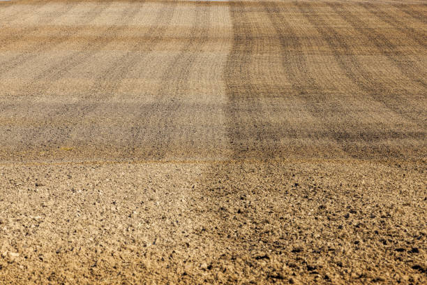istock an agricultural field 1266118012