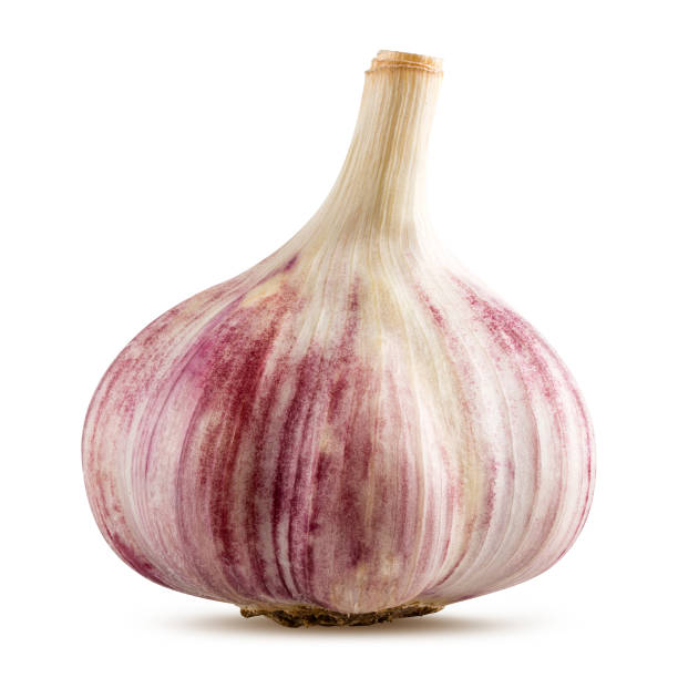 istock Garlic isolated on white background 1266119605