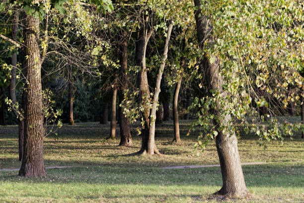 istock specifics and features of the autumn season 1266120100