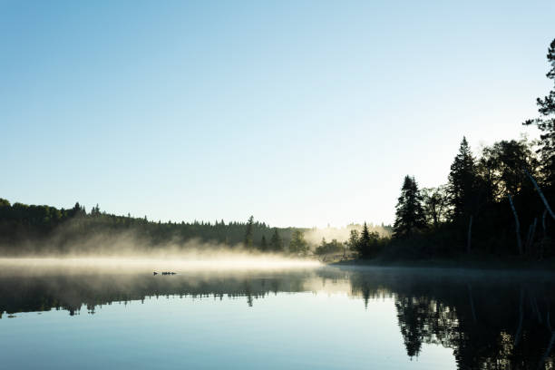 istock Riding Mountain National Park Manitoba Canada 1266122448