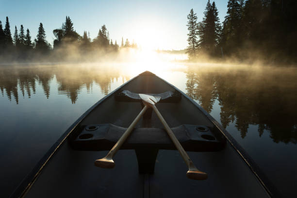 istock Riding Mountain National Park Manitoba Canada 1266122577