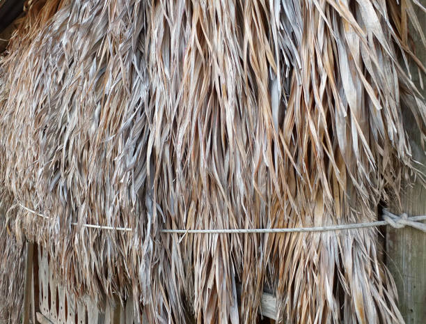 Dry palm tree wall in tropical construction. Dry old palm leaves, background texture. Dry palm tree wall in tropical construction. Dry old palm leaves, background texture. raffia stock pictures, royalty-free photos & images