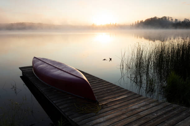 istock Riding Mountain National Park Manitoba Canada 1266123757