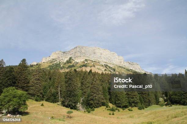 The Chartreuse Mountain Stock Photo - Download Image Now - 2020, Architecture, Auvergne-Rhône-Alpes