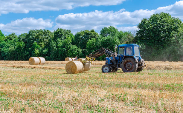 istock straw in round bales and a tractor in the field 1266127586