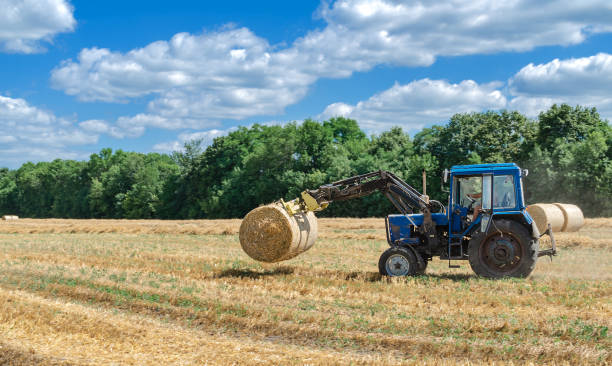 istock straw in round bales and a tractor in the field 1266127588