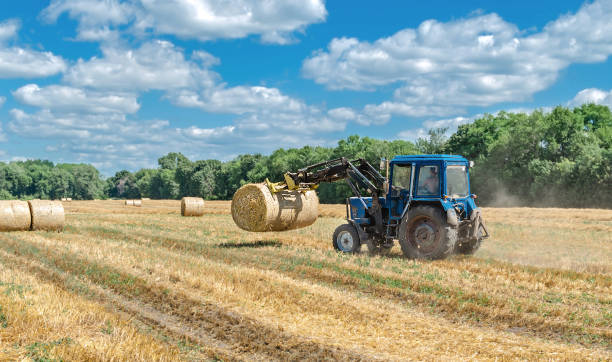 istock straw in round bales and a tractor in the field 1266127592