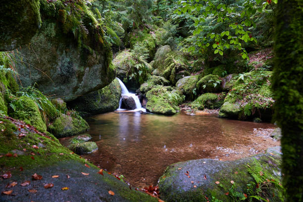 Small waterfall flows into large pond, stones with moss and green trees, rain drops fall into the water. Germany.