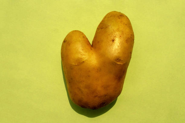 明るい緑色の背景にハートの形をした醜いジャガイモ。 - heart shape raw potato food individuality ストックフォトと画像