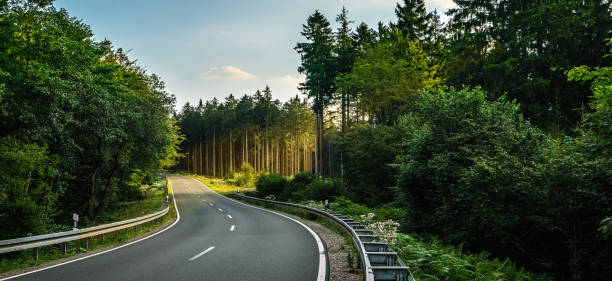 istock Long Curvy Forest Road In Alpine Mountains 1266127894