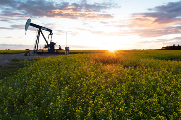 istock Prairie Oil Pump Jacks Canada USA 1266130190