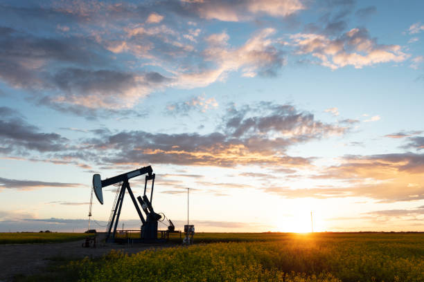 prairie oil pump jacks kanada usa - manitoba canada prairie canola zdjęcia i obrazy z banku zdjęć