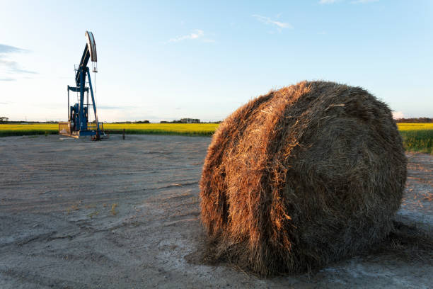 prairie oil pump jacks kanada usa - manitoba canada prairie canola zdjęcia i obrazy z banku zdjęć