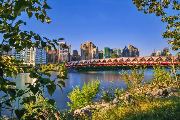 istock Blue Sky Over The Iconic Peace Bridge 1266130797