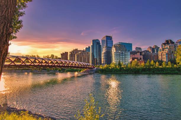 Colorful Sunrise Sky Over The Calgary River A beautiful sunrise sky over the Peace Bridge and the Bow river in the summertime. alberta stock pictures, royalty-free photos & images