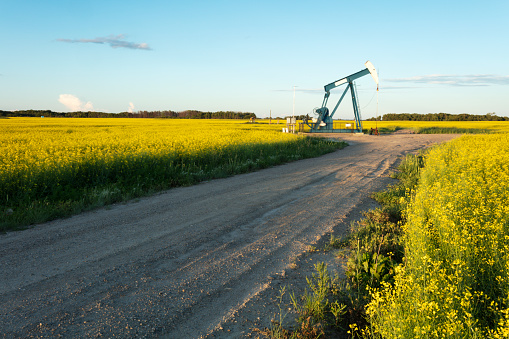 One pump jack producing oil, Image taken near the town of Virden, Manitoba. Image taken from a tripod.