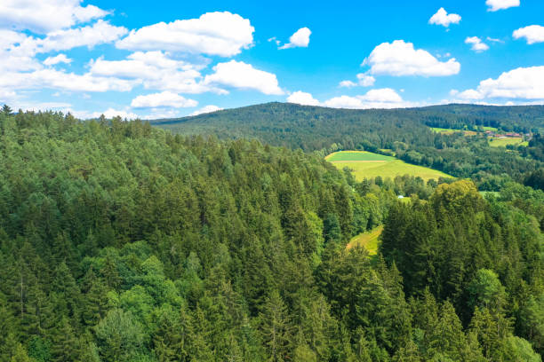 istock Drone view of Regen river, Bavaria 1266134805