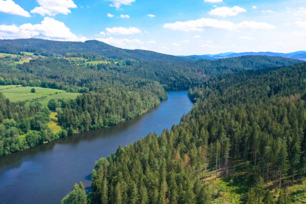 istock Drone view of Regen river, Bavaria 1266134830