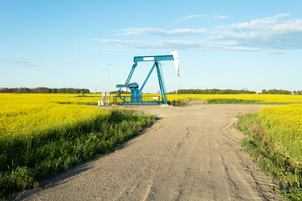 prairie oil pump jacks canada usa - manitoba canada prairie canola foto e immagini stock