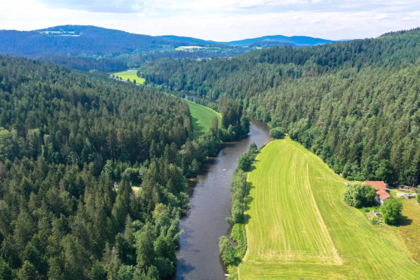 istock Drone view of Regen river, Bavaria 1266134960