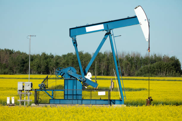 prairie oil pump jacks kanada usa - manitoba canada prairie canola zdjęcia i obrazy z banku zdjęć