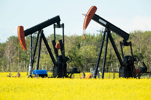 istock Prairie Oil Pump Jacks Canada USA 1266136340