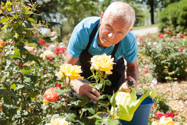 istock Man holding bucket and watering can 1266136482