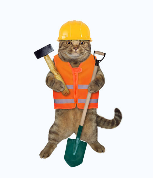 istock Cat worker holds shovel and hammer 1266136491