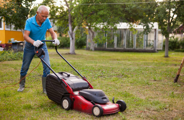 istock Positive elderly man with lawnmower when mowing the lawn 1266137398