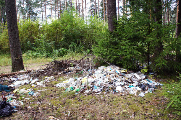 istock Illegal garbage dump in the forest. Garbage dump in the Park. Pile of garbage under trees. Environmental pollution. Pine forest. 1266137664