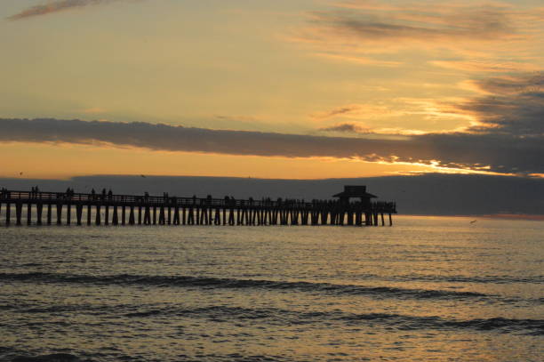 istock Pier at Naples Florida 1266141420
