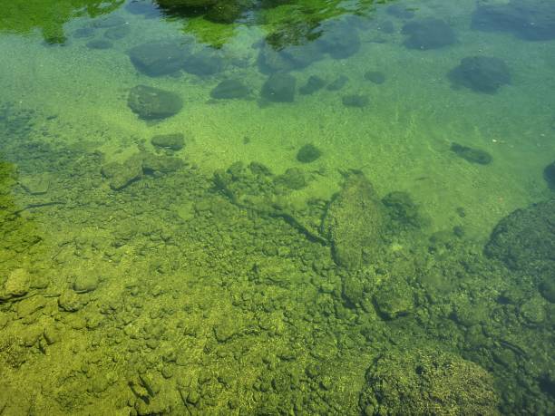 istock Nature reserve The most beautiful place is here 1266143172