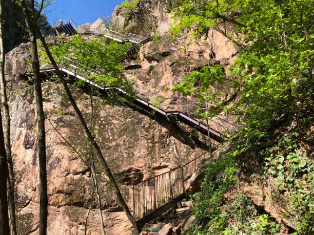 istock Rastenbachklamm in Southtyrol 1266146402