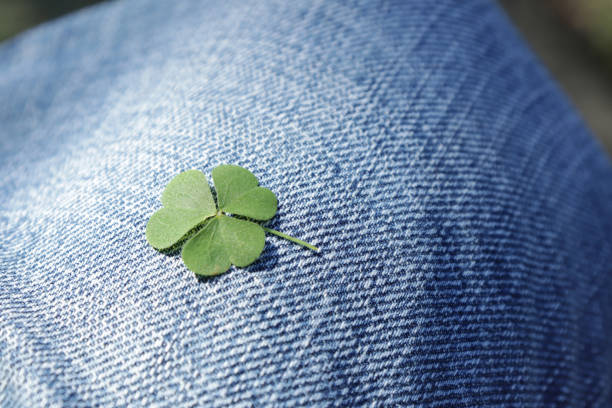 istock Clover leaf on denim background. Green leaf of clover close up. 1266147663