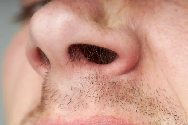 Photo of male nose with a long hair. body care concept. macro