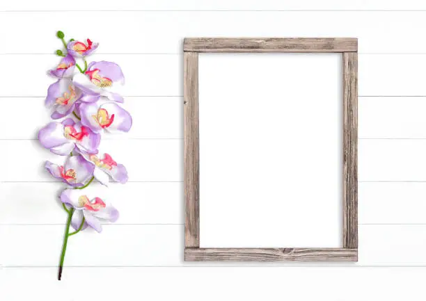 Rough wood frame with orchid flower on white background - lovely mock up for your romantic design