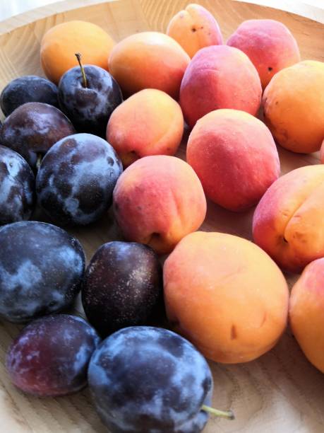 Fresh plums and apricots on a wooden plate