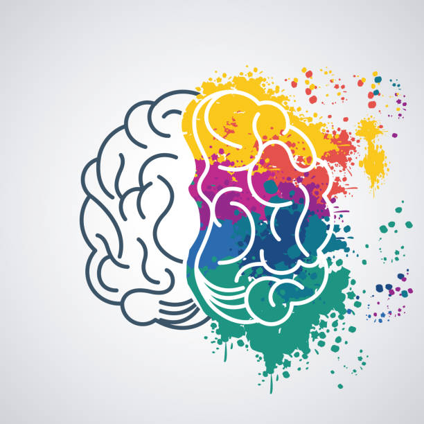 Color Brain Power 590+ Human Brain With Creative Splash Stock Photos, Pictures & Royalty ...