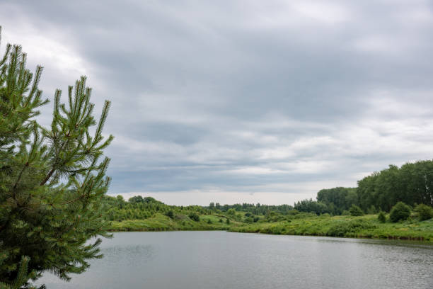istock Landscape with lake, forest and rain clouds. 1266161307