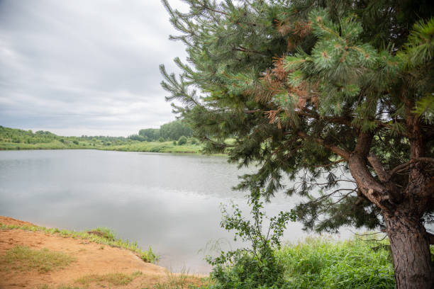 istock Landscape with lake, forest and rain clouds. 1266161321