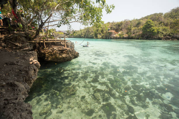 istock blue and green lagoon in indonesia 1266161619