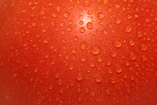 Macro shot of water drops on red tomato.