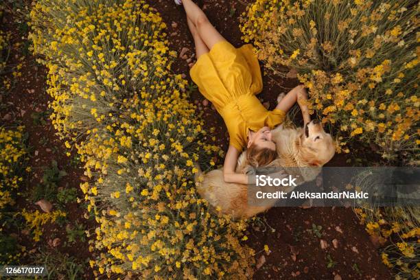 My Warmest Pillow Stock Photo - Download Image Now - Women, Dog, One Woman Only