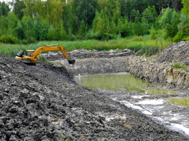 Excavator digging pond in forest stock photo