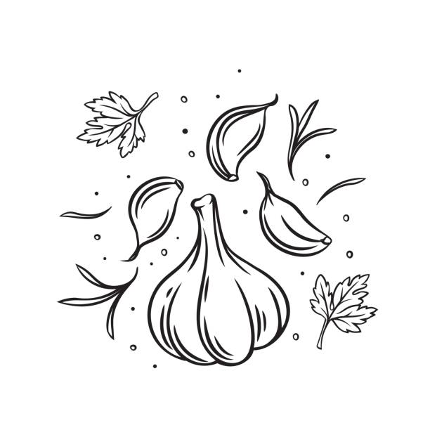 illustrazioni stock, clip art, cartoni animati e icone di tendenza di aglio che cade con erbe e spezie - parsley